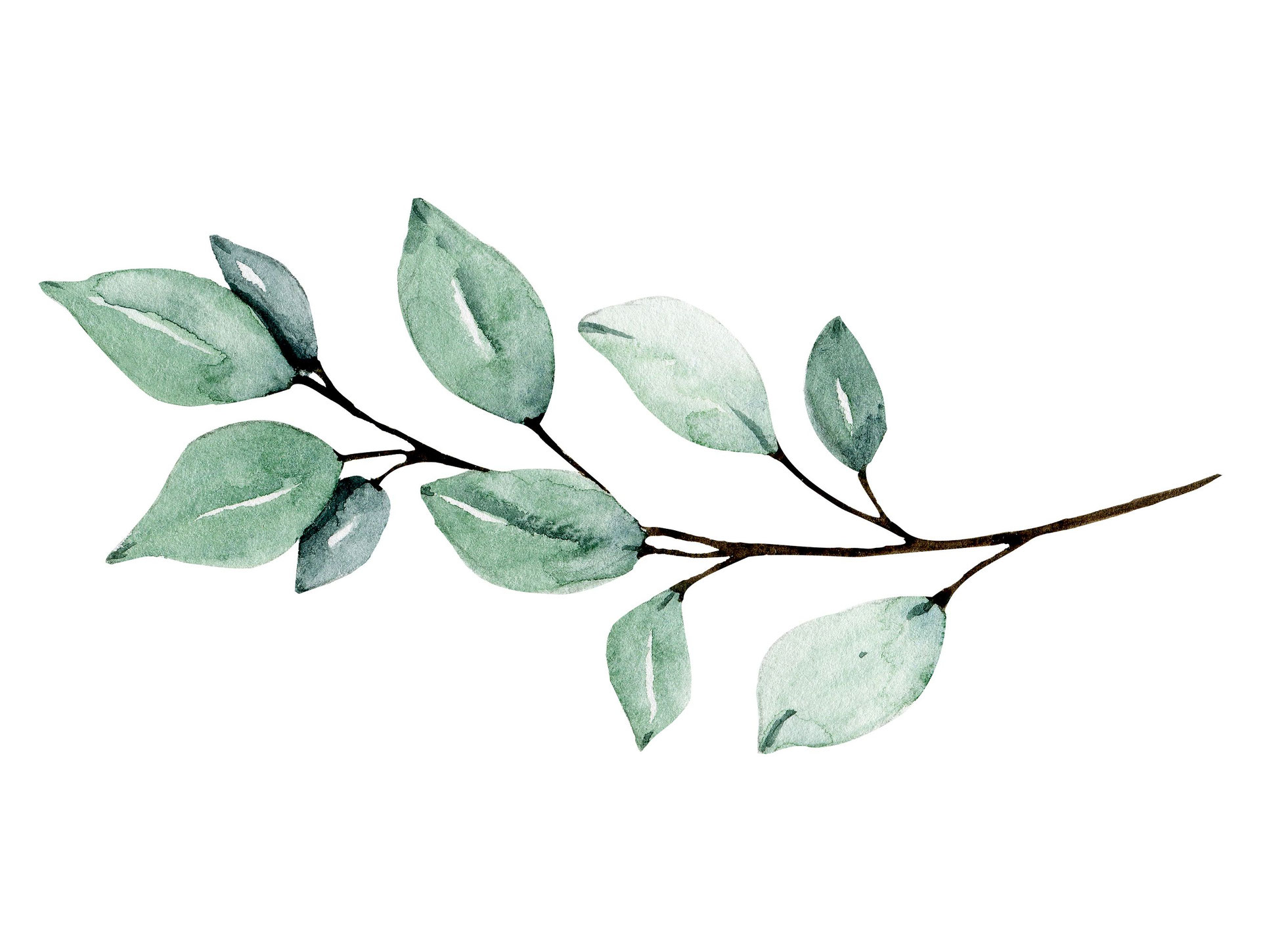 Trauzeremonie Heidelberg Mannheim Speyer Die Trauflusterei Eure Freie Trauung In Heidelberg Mannheim Und Speyer