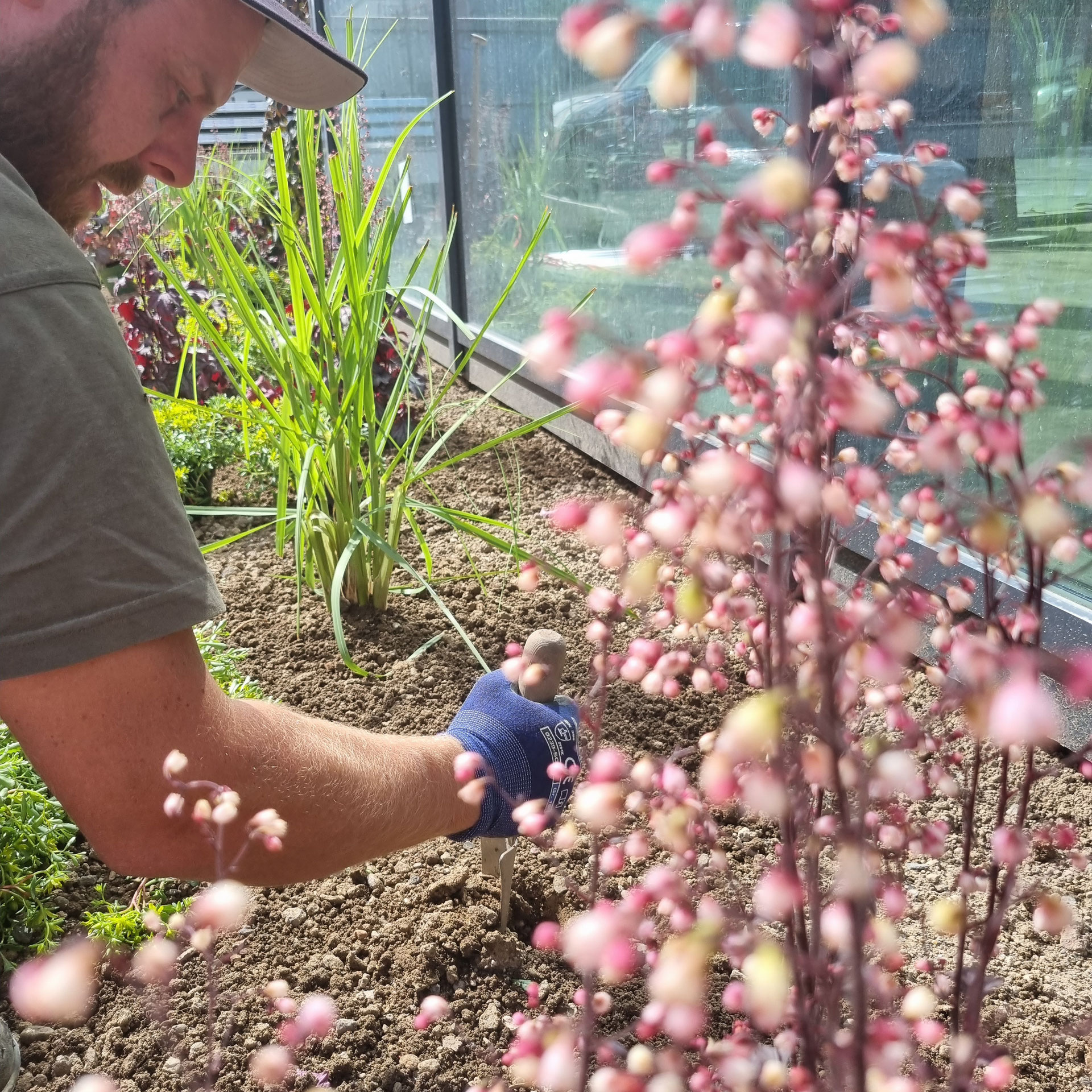 Gartenanlage Blumen für Koblenz