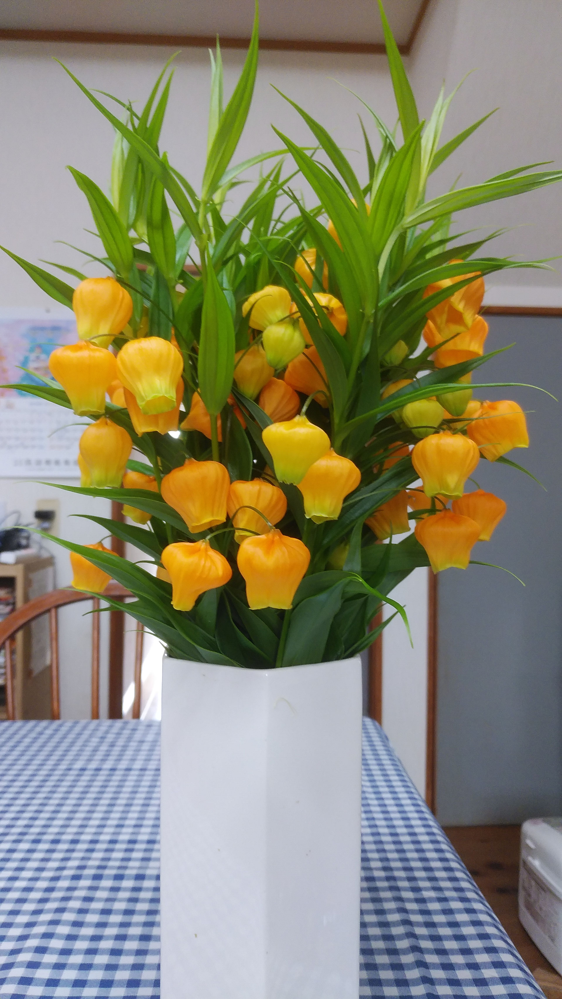 サンダーソニアの花 八丈島民泊 和み家 サンダーソニアの花 八丈島民泊 和み家