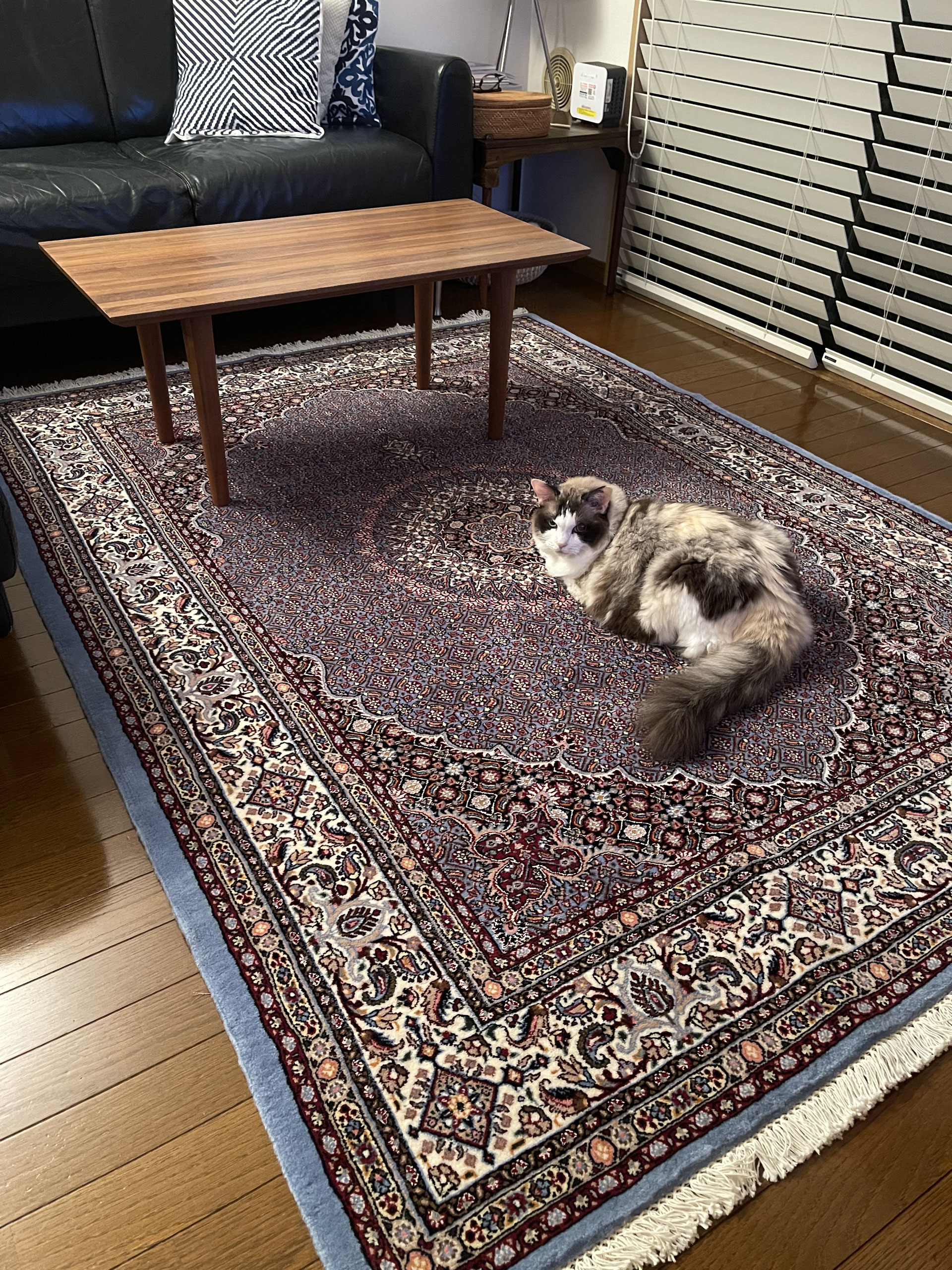 WOOL 150cmX200cmのご案内 - ペルシャ絨毯 キリム ペルシャン
