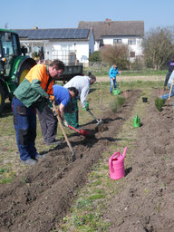 Ehrenamtliche beim Obstbaumpflanzen