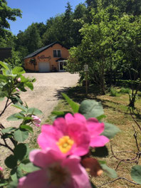 MarmeLädchen 2020