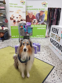 2024_12_07 Spendenannahme mit Collie Benno_ Foto: Oetken