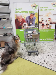 2024_11_16_ Spendenannahme_ Foto: Oetken