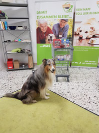 2024_11_16_ Spendenannahme_ Foto: Oetken