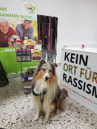 2024_12_07 Spendenannahme mit Collie Benno_ Foto: Oetken