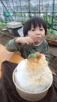 かき氷も時々あります