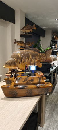 XR310,Toslon XR500,XR500 autopilot. Carp Pilot pro,onderwatercamera,Ultimate Stealth Cam Dubbele,Toslon,TF520,Ultimate Stealth cam,voerboten,baitboats,visvinder,fishfinder,visvinders,Toslon TF740,karper,Raymarine pro5,3DCarps ,voerboot,xr500