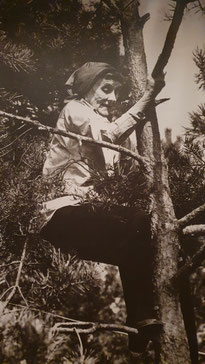 Astrid Lindgren kletter noch in hohem Alter auf einen Baum - weil's Spaß macht.