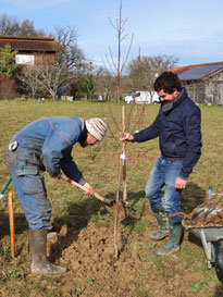 Lassenat éco- maison d'hôtes en Gascogne, chambres d'hôtes de charme et gîte écoresponsable, location de vacances avec piscine écologique, table d'hôtes bio, préservation de la biodiversité. Près de Vic-Fezensac, Eauze, Condom, Gers. Occitanie.