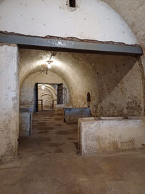 Die besonderen Stadtführungen für Freising. Seit 2011 - Freisinger Stadtbär GbR
