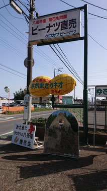 落花生　健康　千葉県八街産