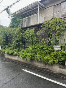八王子市で剪定除草する植木屋「纏造園」