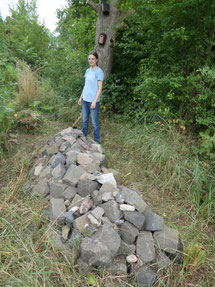 Eidechsen-Steinhaufen