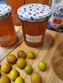 Apfel-Mirabellen-Gelee
