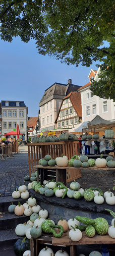 Bauernbördemarkt jedes Jahr im September
