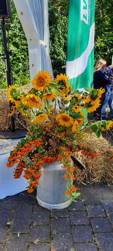 Schöne sommerliche Bühnendekoration im Begrüßungsbereich des Schlosses Homburg