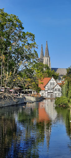 Am großen Teich