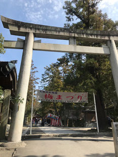 小牧 鍼灸 はり治療 美容鍼 腰痛 ギックリ腰 坐骨神経痛 肩こり 頭痛 自律神経 カメラ 梅