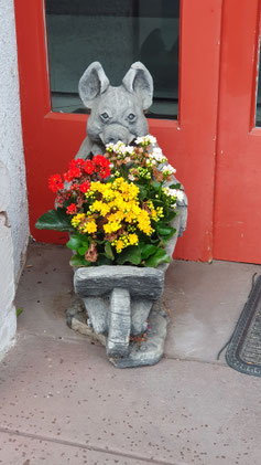 Der Freund von Babe...