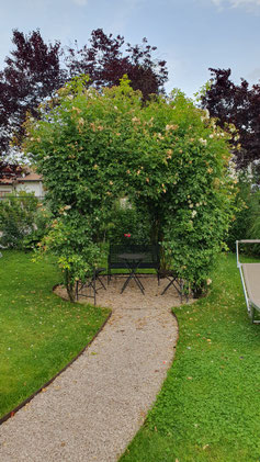 Mein Sitzplatz in der Laube (bin gerade bei der Bedienung)...