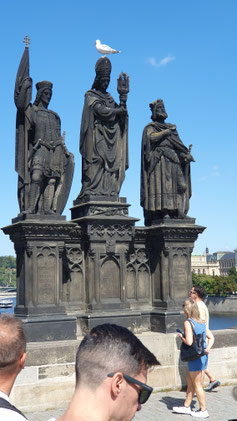 Taube mißachtet Benimmregeln...