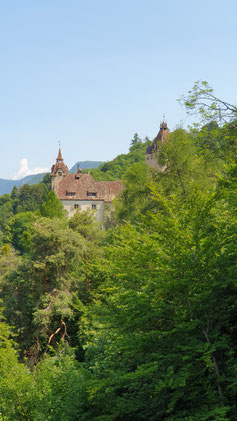 Blick auf Schloß Enn...
