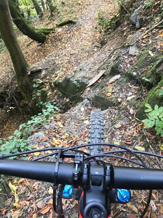 Tricky trails- Ahrtalstyle!