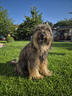 Djinny Gos vom Fürstenwald