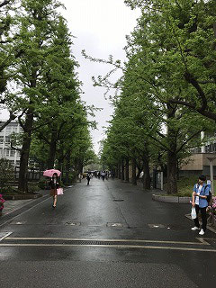日吉駅前は有名な慶応義塾大学があります。並木の左右に素晴らしい校舎やグランドがありました。