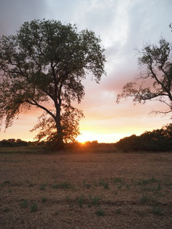 Sonnenuntergang nach der Hitze eine Erlösung