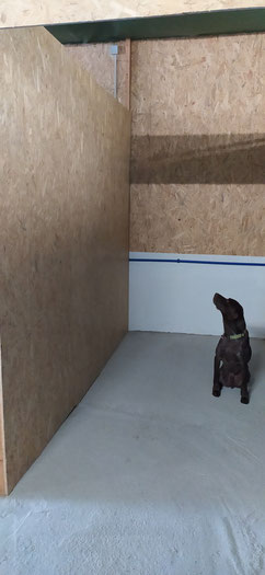 6 m²-Abteil, nur ohne Hund zu vermieten 🙂