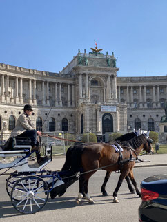 Herren Square, Hofburg Palace Vienna