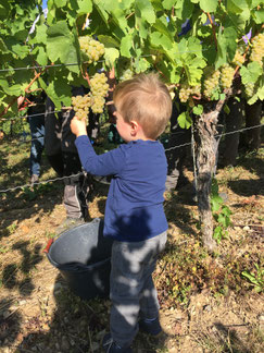 Download Das leben ist voller ueberraschungen wie der fruchtige geschmack von For Android