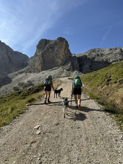 Wandern mit Hund im den Dolomiten - Übernachtung mit Hund auf der Seiser Alm