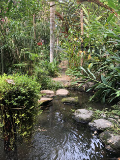 Boutique hostel in the area of Minca and Santa Marta