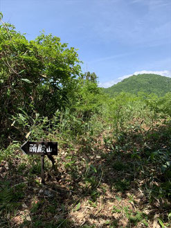 ▲蕨野の分岐。山頂は左へ