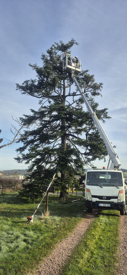 Paysagiste Roanne