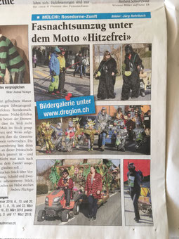 Rosedornezunft Mülchi - Pressebericht D'Region Februar 2019