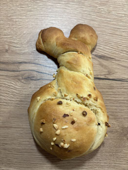 Hase von hinten