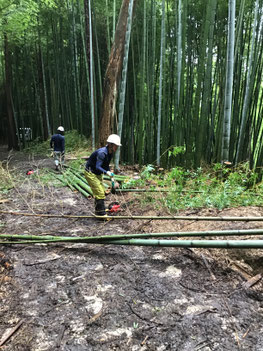 7月23日　竹林整備