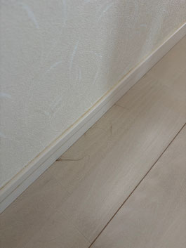 猫の毛の掃除はオーシーエルサービス