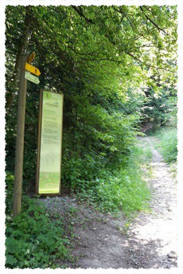 Bild des Posten 3 des Atemwegs