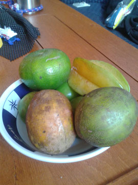 V Karibiku sa človek čuduje, koľko druhov ovocia nepozná a aká je jeho cena.