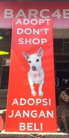 adopt don't shop barc ubud bali