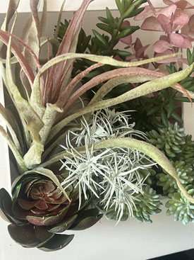 cadre-vegetal-plantes-artificielles
