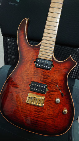 Heart's Guitar - Rebellion