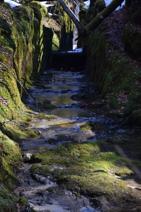 Flößerkanal zwischen Kammer- und Toplitzsee