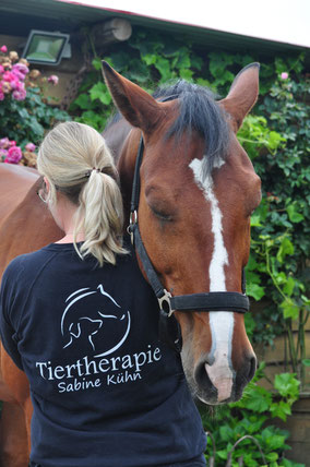Craniosacrale Osteopathie Pferd