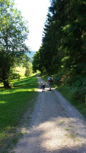 Alpirsbach Karlsquelle Wanderweg Schwarzwald Ausflug Sommer Tannen Wald Naturschutzgebiet